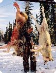 Hunting Image 2