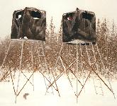 Whitetail Deer Hunting Image 1