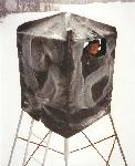 Whitetail Deer Hunting Image 2
